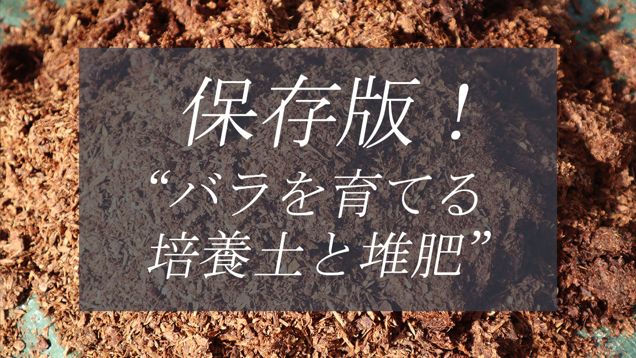 バラの用土替え