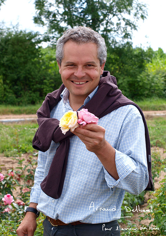 デルバール Delbard (フランス) | THE ROSE SHOP｜バラ専門店 ザローズ