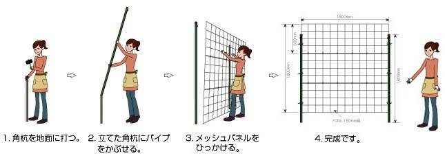 つるバラ専用トレリスカラマリーナ商品詳細ページ