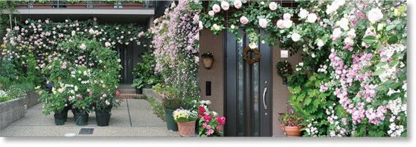 つるバラ専用トレリスカラマリーナ商品詳細ページ