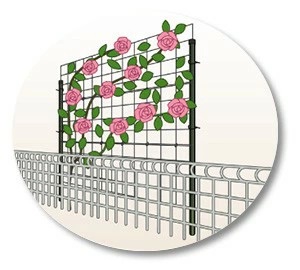 つるバラ専用トレリスカラマリーナ商品詳細ページ