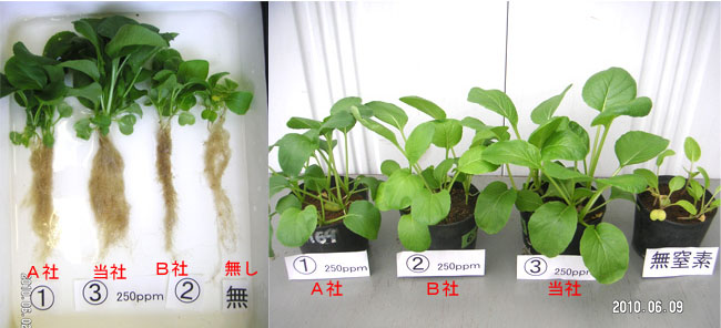 ニームオイル使用方法ページ