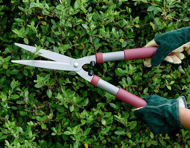 枝切り・剪定ばさみ（大型）トップページイメージ