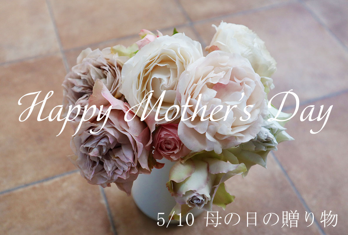バラ苗母の日ギフトトップページ
