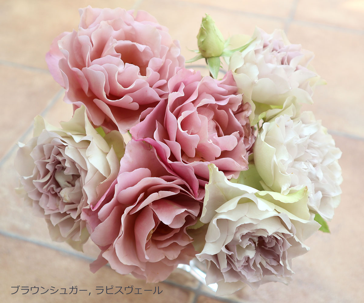 Rose for You | THE ROSE SHOP｜バラ専門店 ザローズショップ 本店