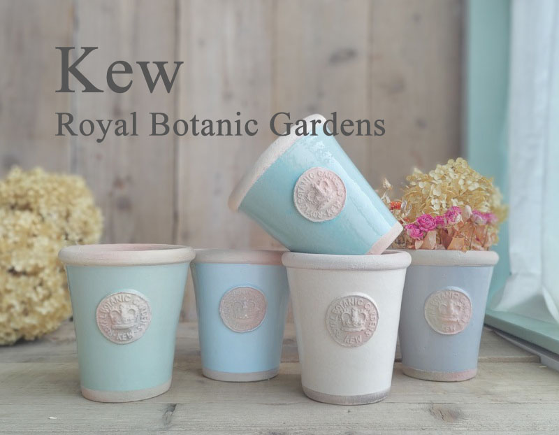 Kew - 鉢・花瓶 | THE ROSE SHOP｜バラ専門店 ザローズショップ 本店