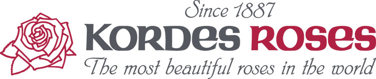 コルデスイメージ