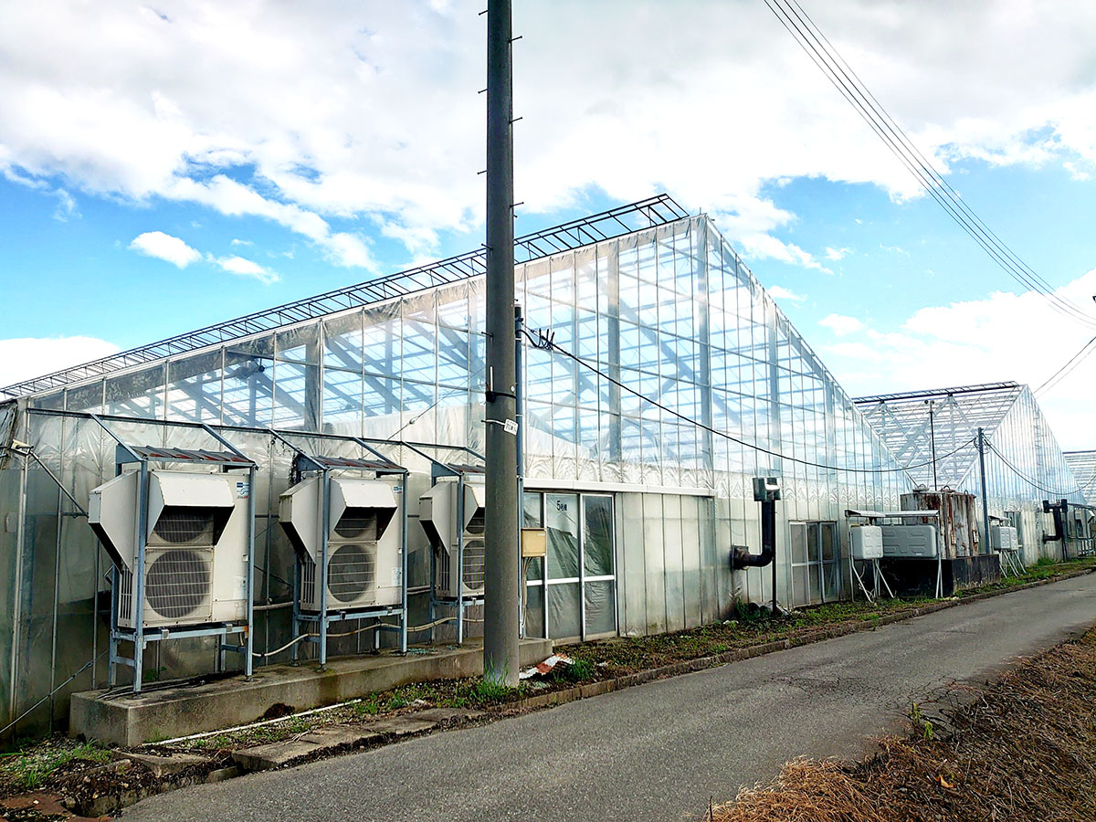 大沼ばら園イメージ