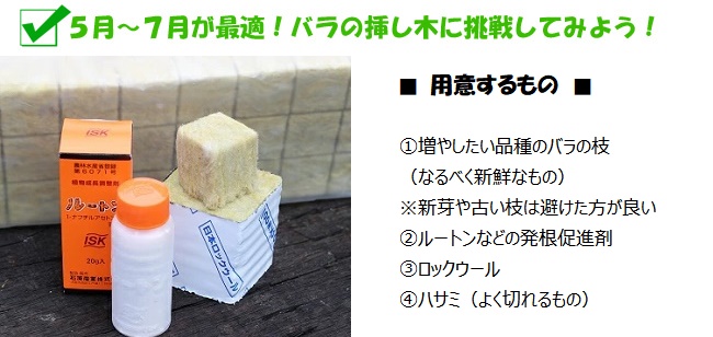 挿し木用ロックウールポット使用方法ページ