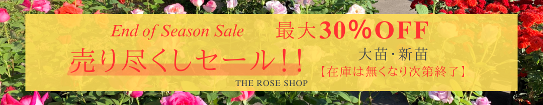 roseseasonsale