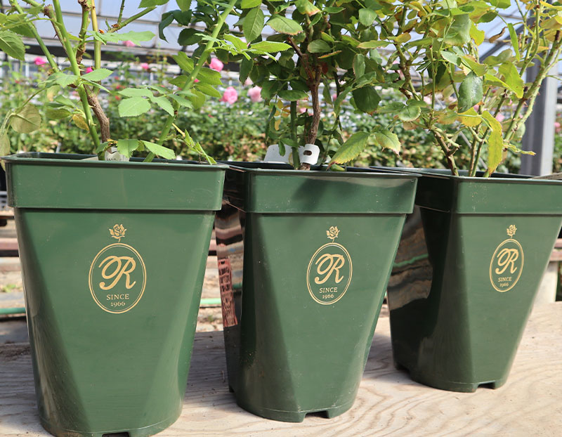 ガーデニング資材トップページイメージ