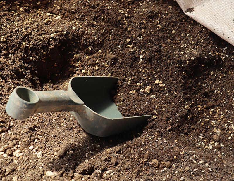 バラ専用の土トップページイメージ