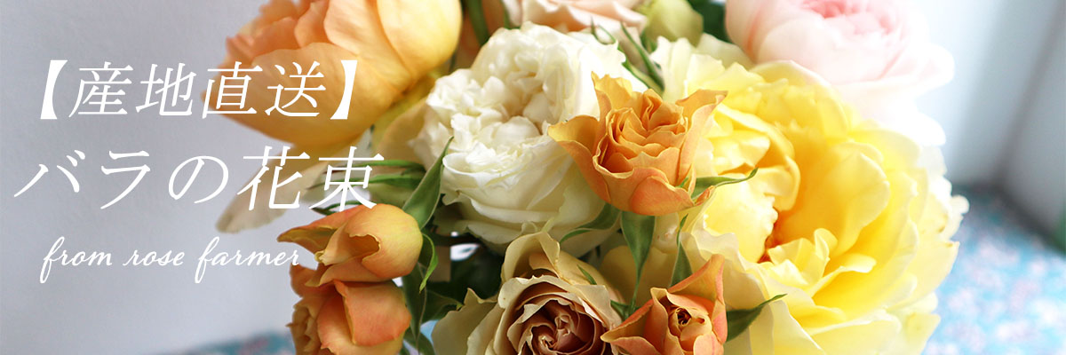 産地直送バラの花束トップページイメージ