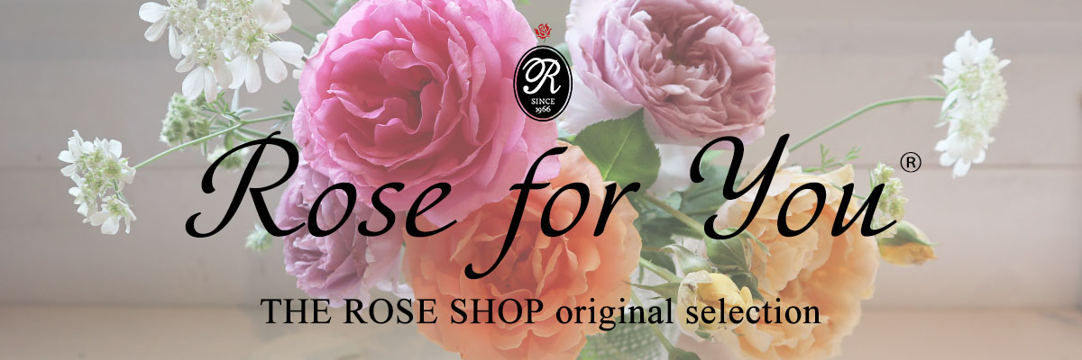 THE ROSE SHOP｜バラ専門店 ザローズショップ 本店 - バラ苗の通販