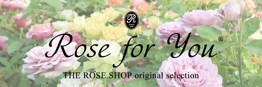 Rose for You | THE ROSE SHOP｜バラ専門店 ザローズショップ 本店