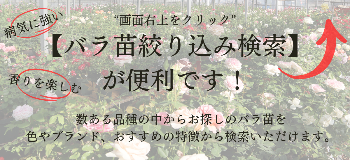 toppage-image24.png