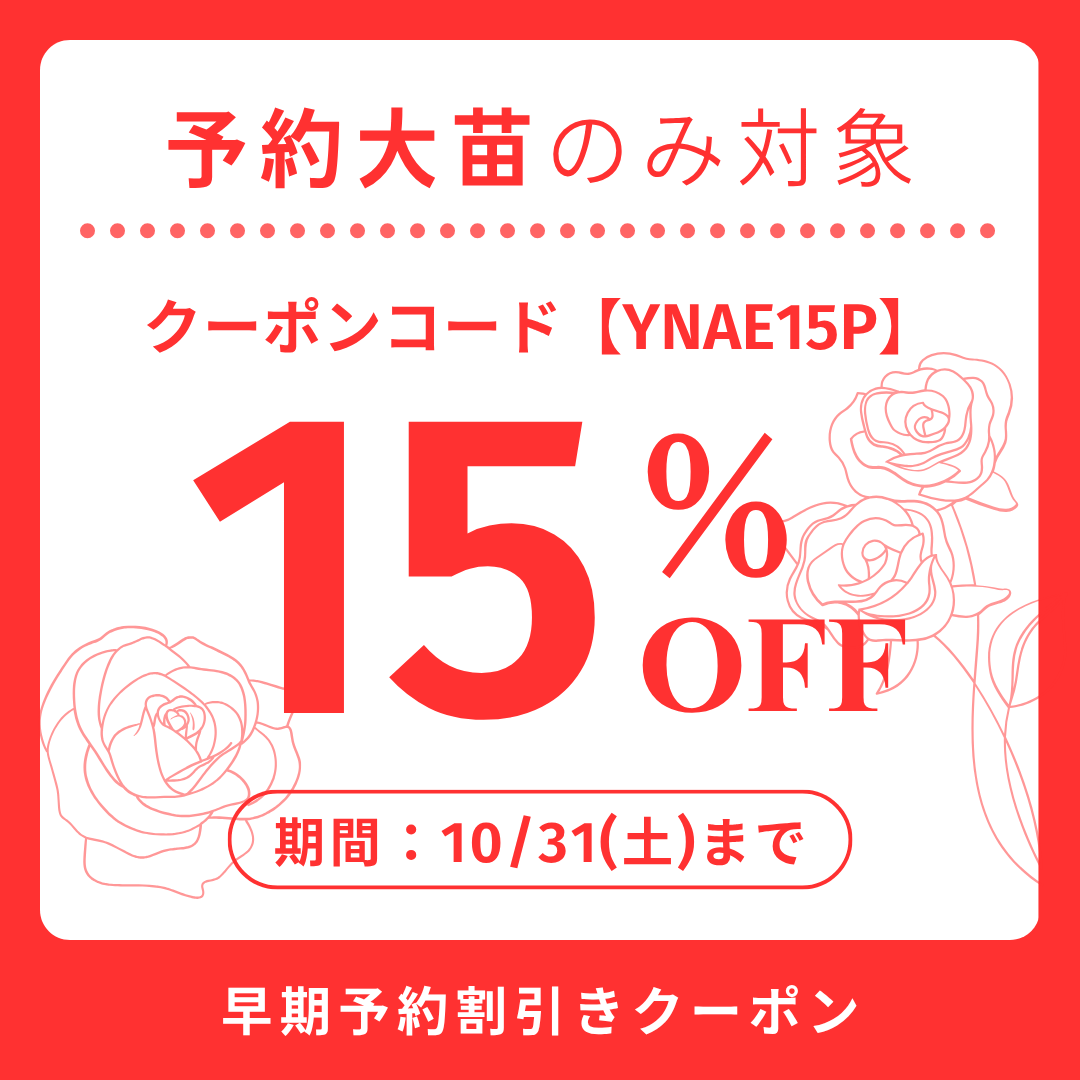 予約大苗クーポン