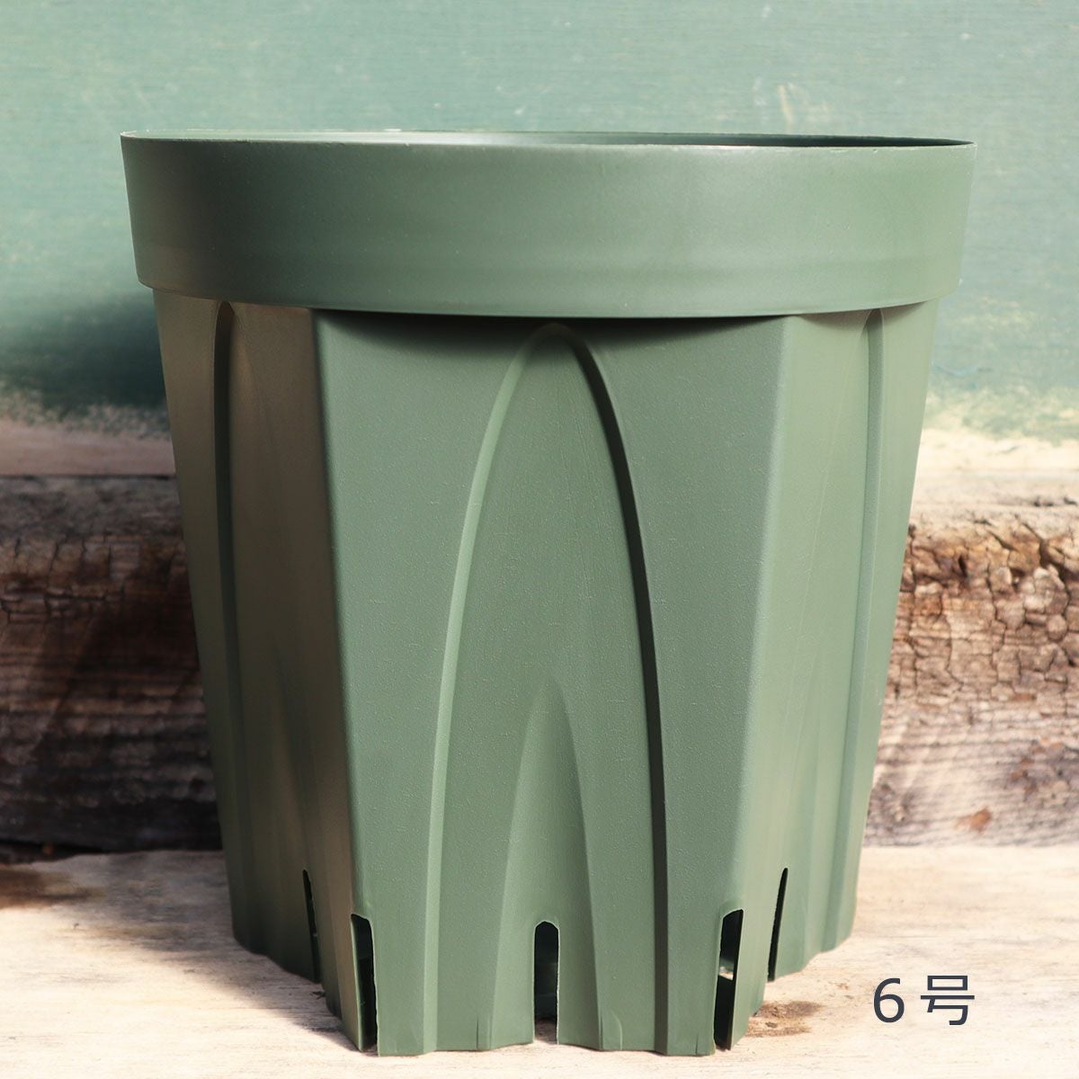 ss 写楽　宿根草　スリット鉢　苗　鉢　バラ　薔薇 6号スリット鉢（18センチ） | THE ROSE SHOP｜バラ専門店 ザローズ