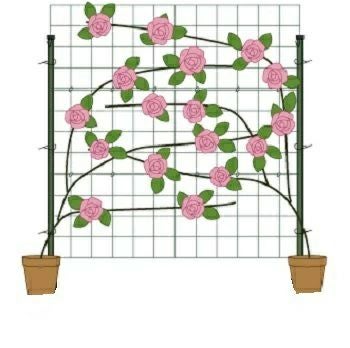 カラマリーナVG