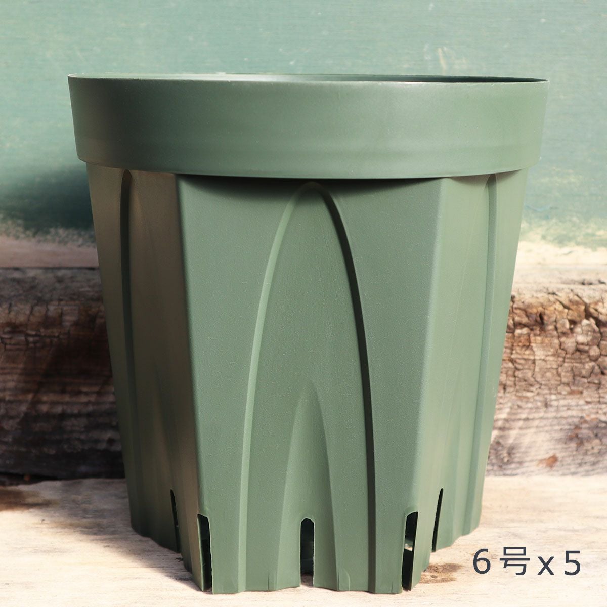 6号スリット鉢（18センチ） [5鉢セット] | THE ROSE SHOP｜バラ専門店