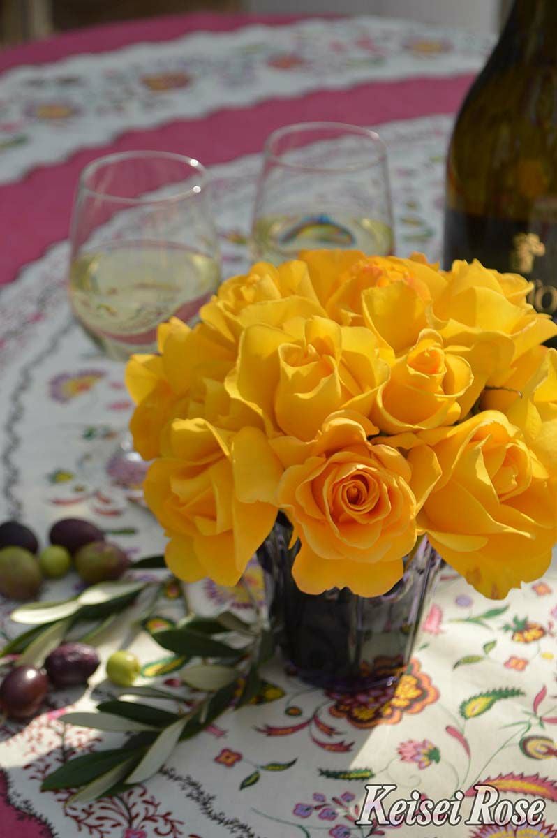 バラ苗レヨンドゥソレイユ