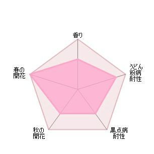 バラ苗トッタリングバイジェントリー