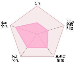 バラ苗エルディブレスウェイト(Ｌ.Ｄ.ブレスウェイト) 