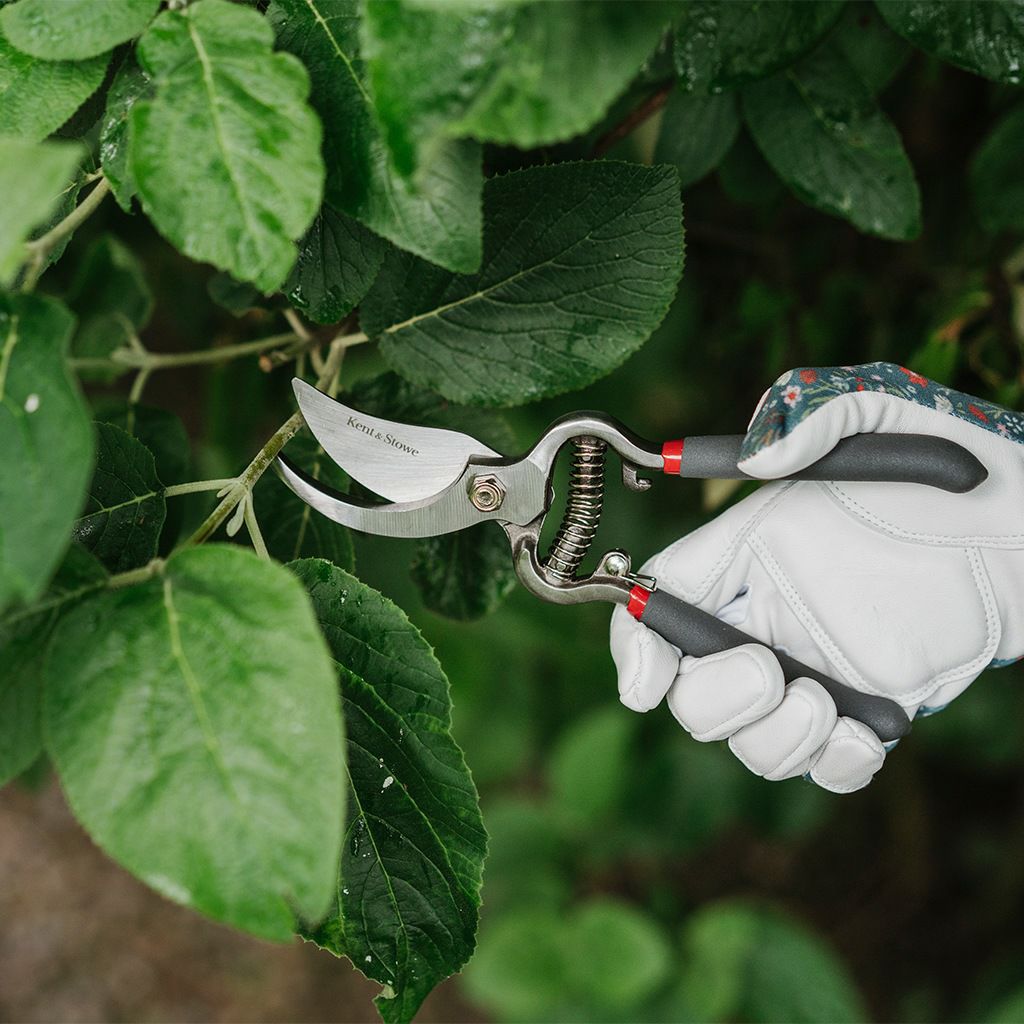 【剪定ばさみ】ケント＆ストー Traditional Bypass Secateurs 