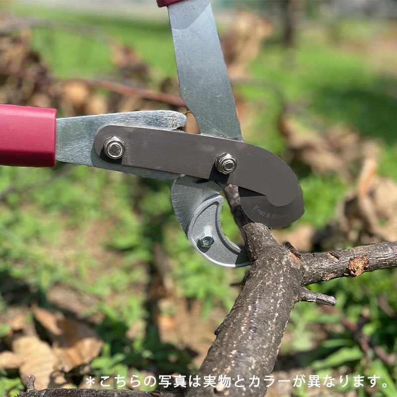 【枝切ばさみ ロッパー 伸縮式】ケント＆ストー Telescopic Anvil Secateurs 