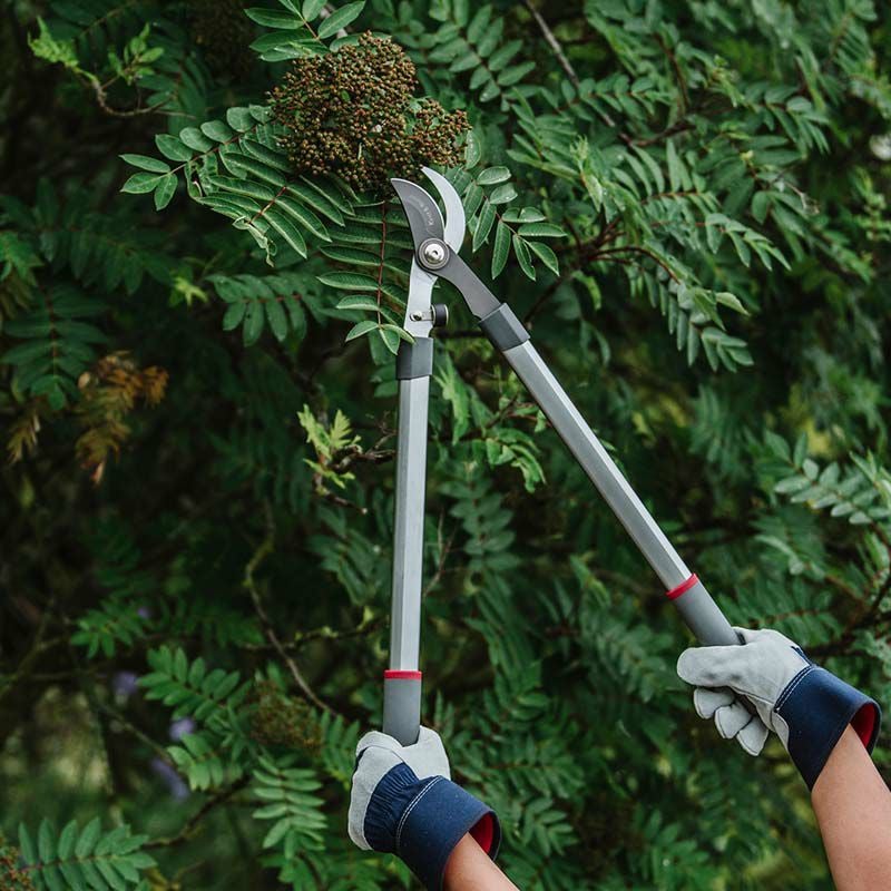 【生木 枝切ばさみ 剪定】ケント＆ストー Bypass Loppers