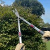 【枝切ばさみ 植木 はさみ 伸縮式】ケント＆ストーTelescopic Hedge Shears
