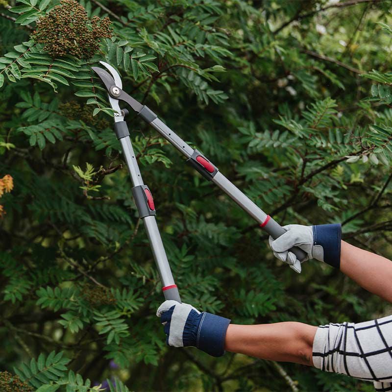 生木 枝切ばさみ ロッパー 伸縮式】ケント＆ストーTelescopic Bypass Loppers