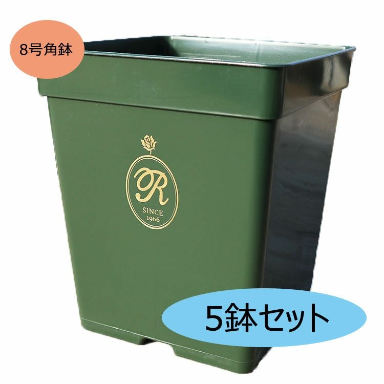 THE ROSE SHOP オリジナル8号角鉢 [5鉢セット] | THE ROSE SHOP｜バラ