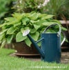 メタルジョウロ 4.5L ケント＆ストー Watering Can 4.5L