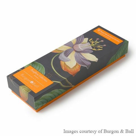 剪定ばさみ トケイソウ バーゴン＆ボール Passiflora Secateurs Burgon & Ball