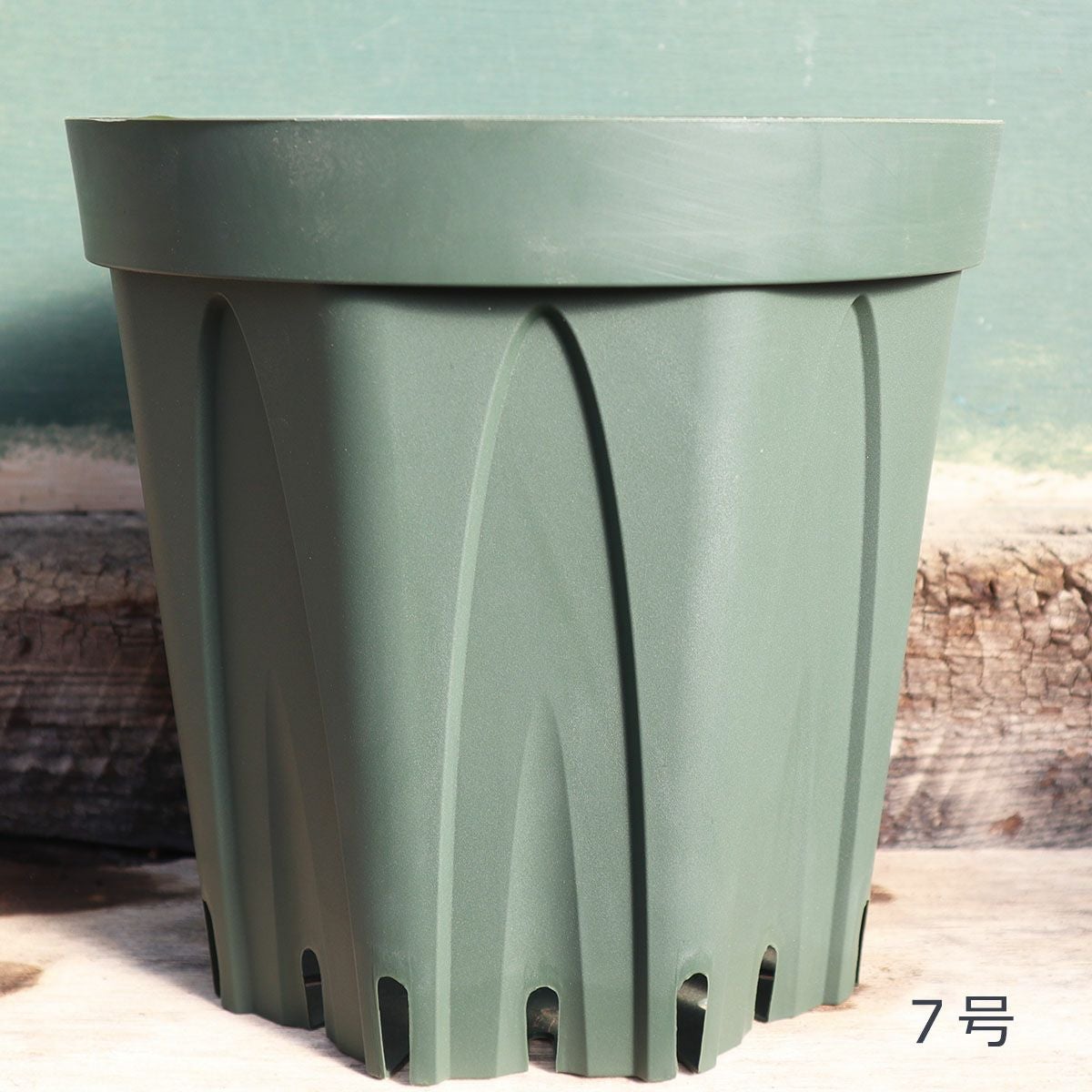 ss 写楽　宿根草　スリット鉢　苗　鉢　バラ　薔薇 7号スリット鉢（21センチ） | THE ROSE SHOP｜バラ専門店 ザローズ