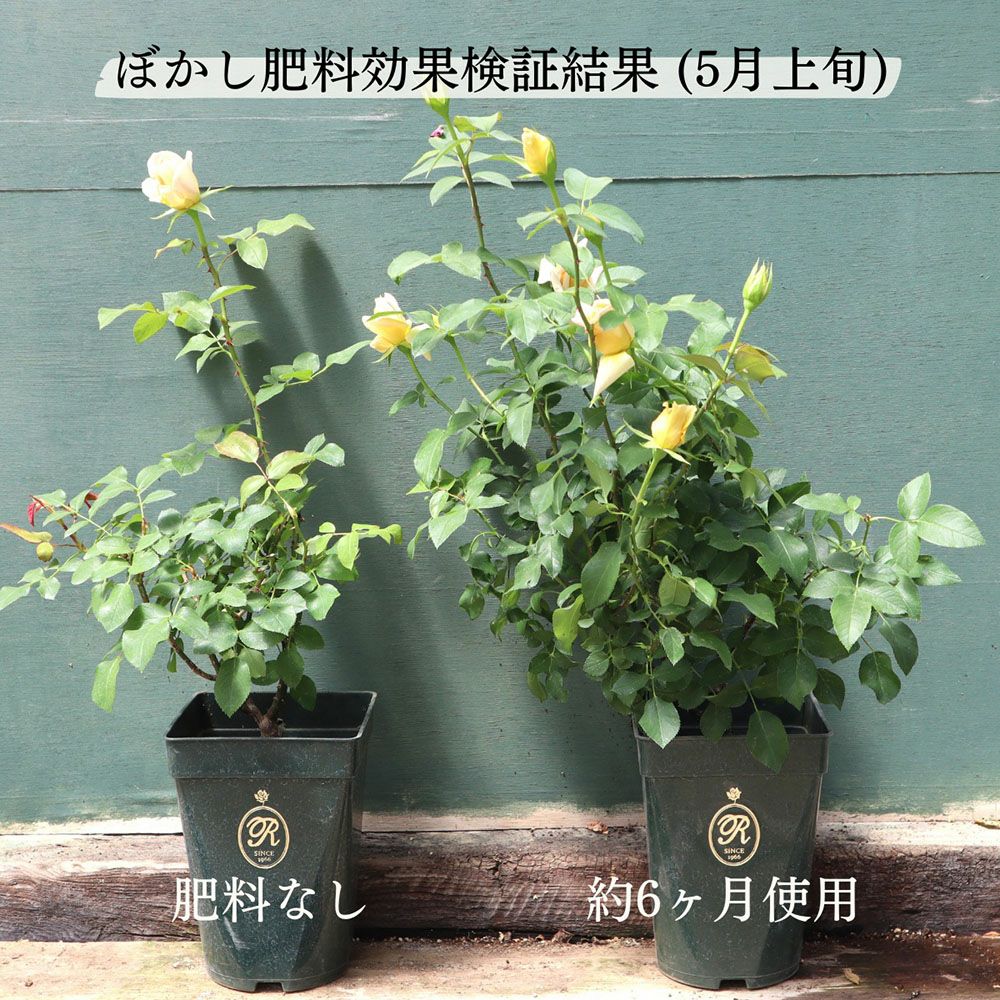 バラ専用ぼかし肥料5kg