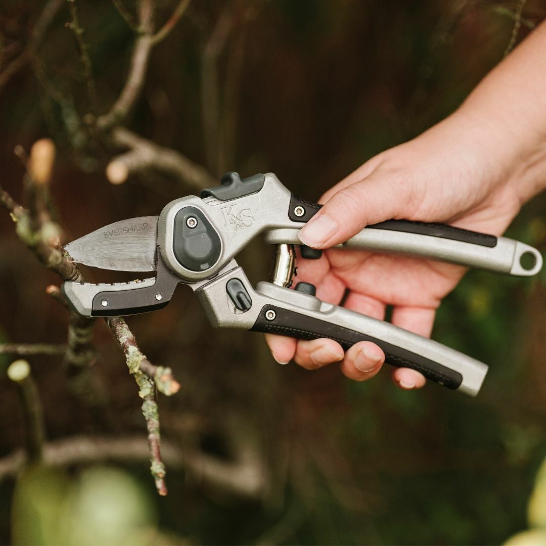 ガーデニング 剪定ばさみ エバーシャープ 堅木用 ケント＆ストー