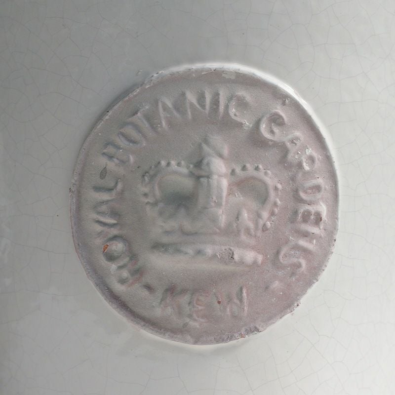 キューポット 植木鉢 Mサイズ キューガーデンズ