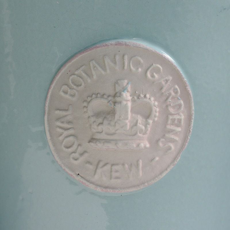 キューポット 植木鉢 Mサイズ キューガーデンズ