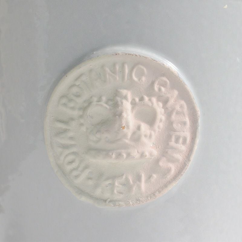 キューポット 植木鉢 Sサイズ キューガーデンズ