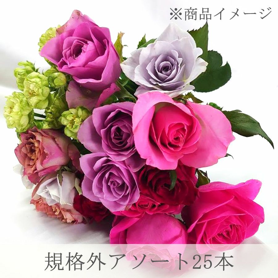 大沼ばら園 (山形)】 規格外 バラの花束アソート 25本 【産地直送