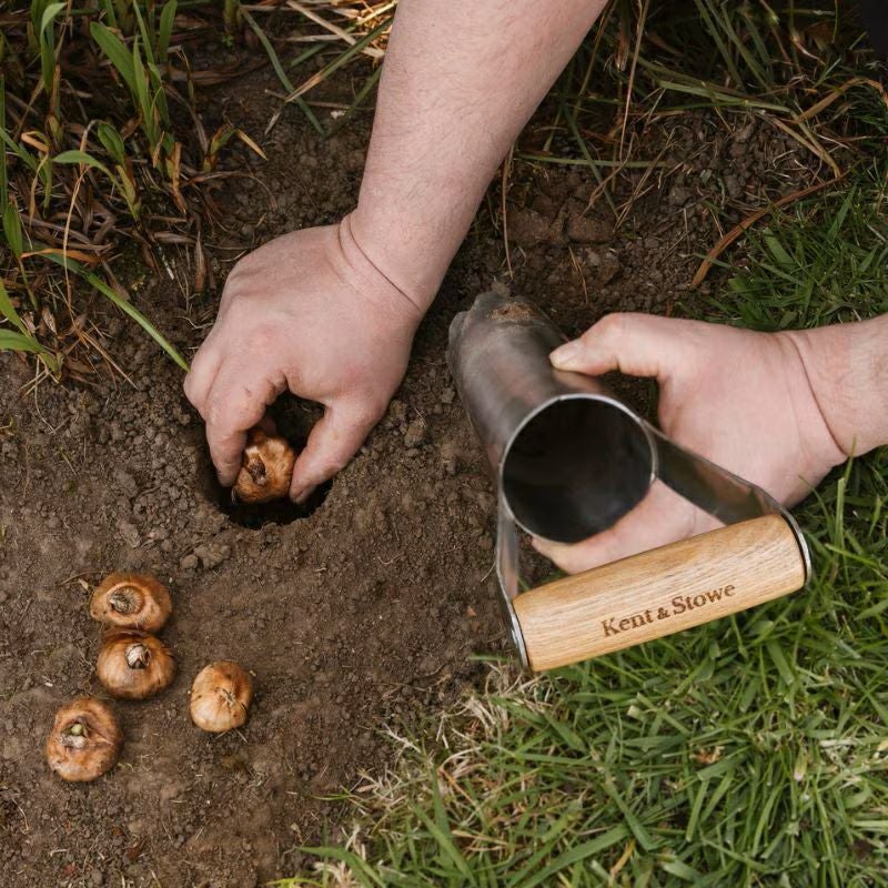 球根植え用ツール L 種苗植え 土壌採取