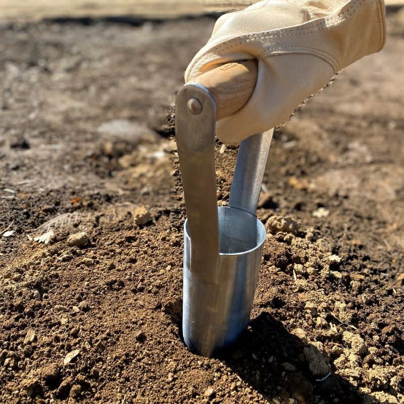 球根植え用ツール L 種苗植え 土壌採取