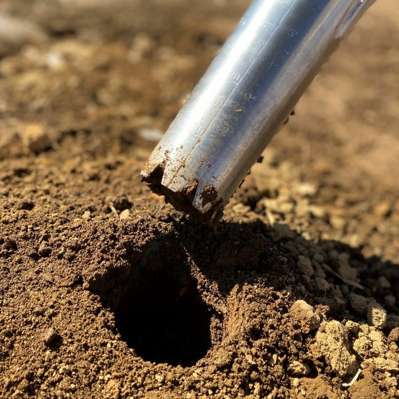 球根植え用ツール L 種苗植え 土壌採取