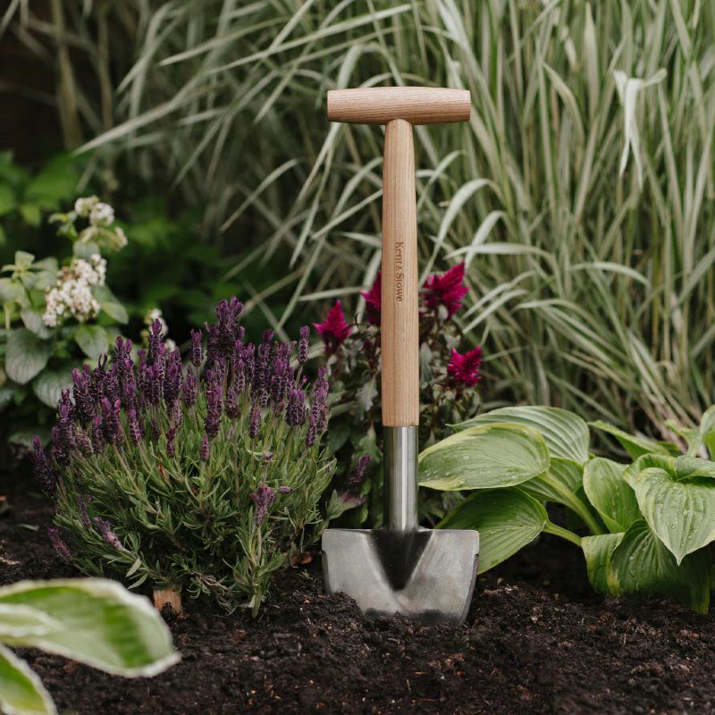 多年草用ミディアム株分けシャベル 宿根草