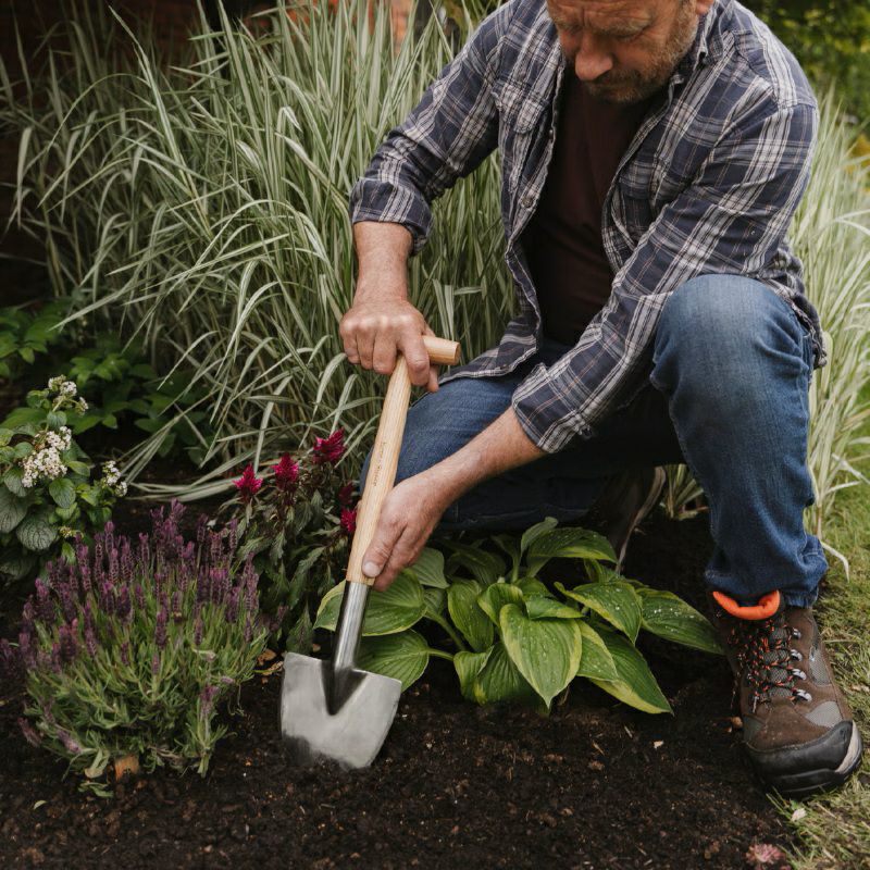 多年草用ミディアム株分けシャベル 宿根草