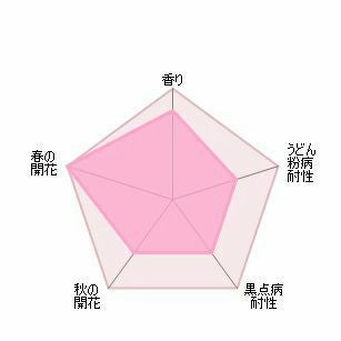 バラ苗テスオブザダーバービルズ