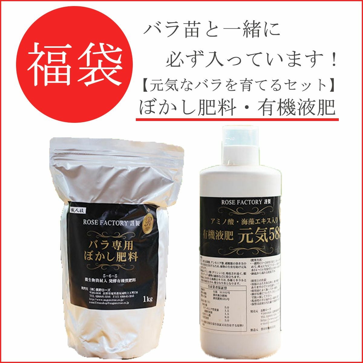 バラ苗福袋