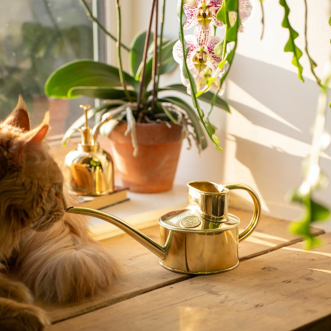 水差し 0.7L コンパクト ブラス HAWS ホーズ